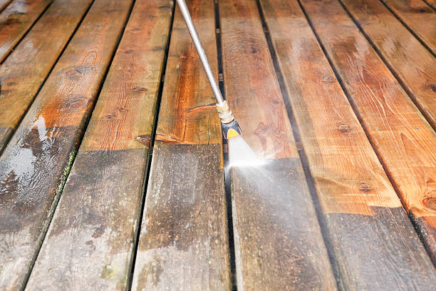 Best Roof Washing  in Stepping Stone, CO